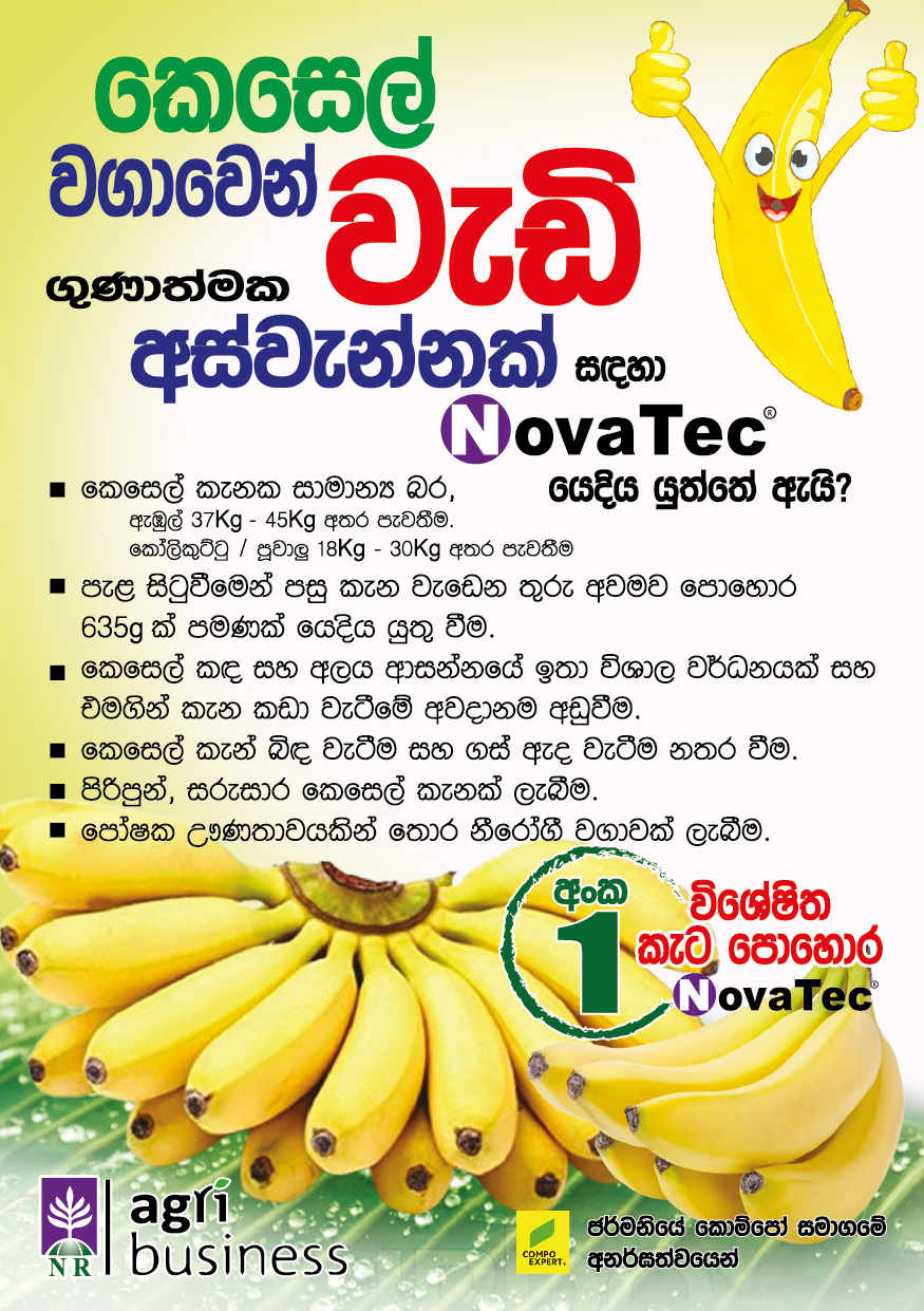 Banana Fertilizer Recommendation – Poster 02