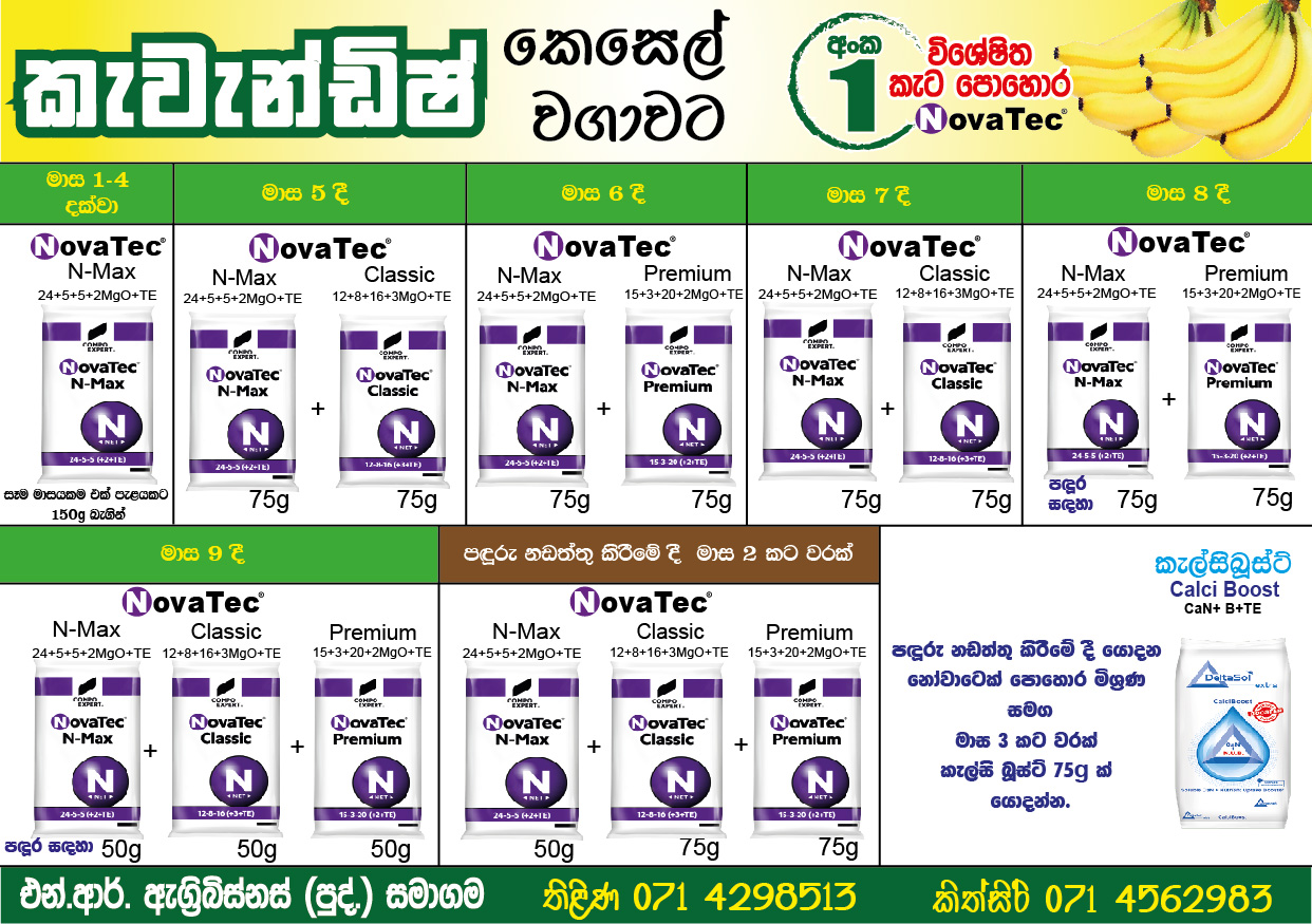 Banana Fertilizer Recommendation – Poster 03